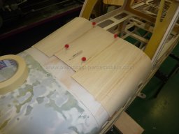 Canopy (64)